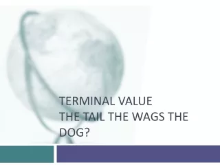 Terminal Value The tail the wags the dog?