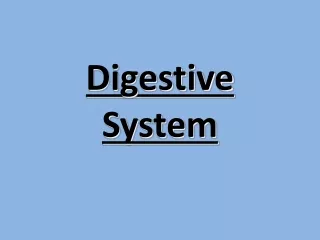 Digestive System