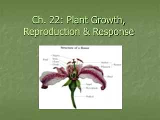 Ch. 22: Plant Growth, Reproduction &amp; Response