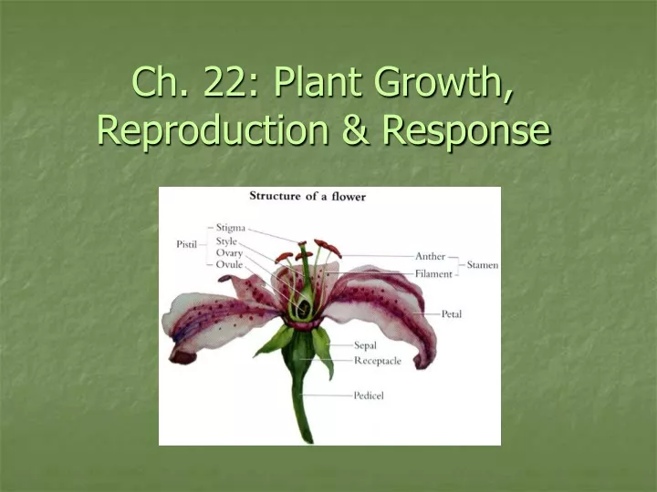 ch 22 plant growth reproduction response