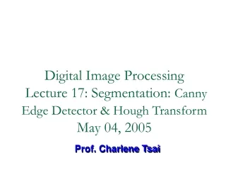 Prof. Charlene Tsai