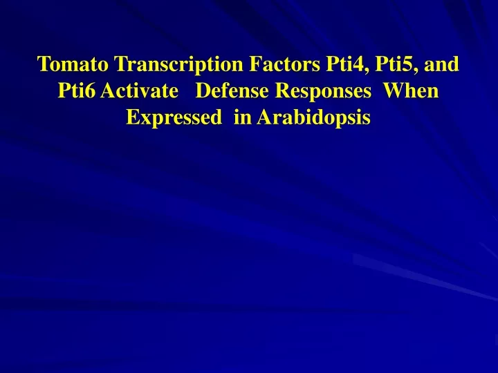 tomato transcription factors pti4 pti5 and pti6