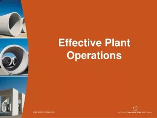 Effective Plant Operations