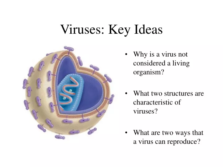 viruses key ideas