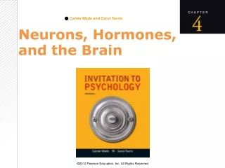 Neurons, Hormones, and the Brain