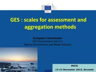 GES : scales for assessment and aggregation methods