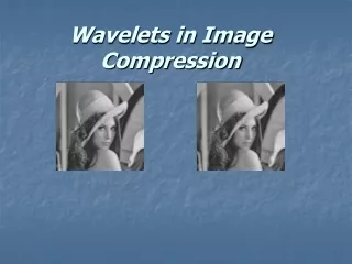 Wavelets in Image Compression