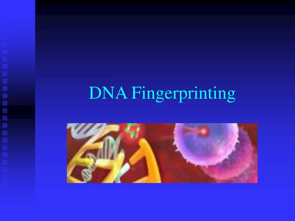 PPT - DNA Fingerprinting PowerPoint Presentation, free download - ID ...