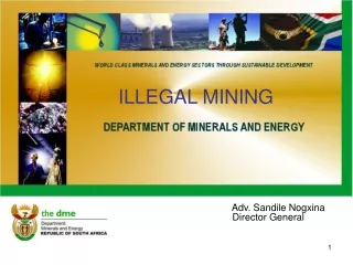 ILLEGAL MINING