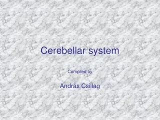 Cerebellar system