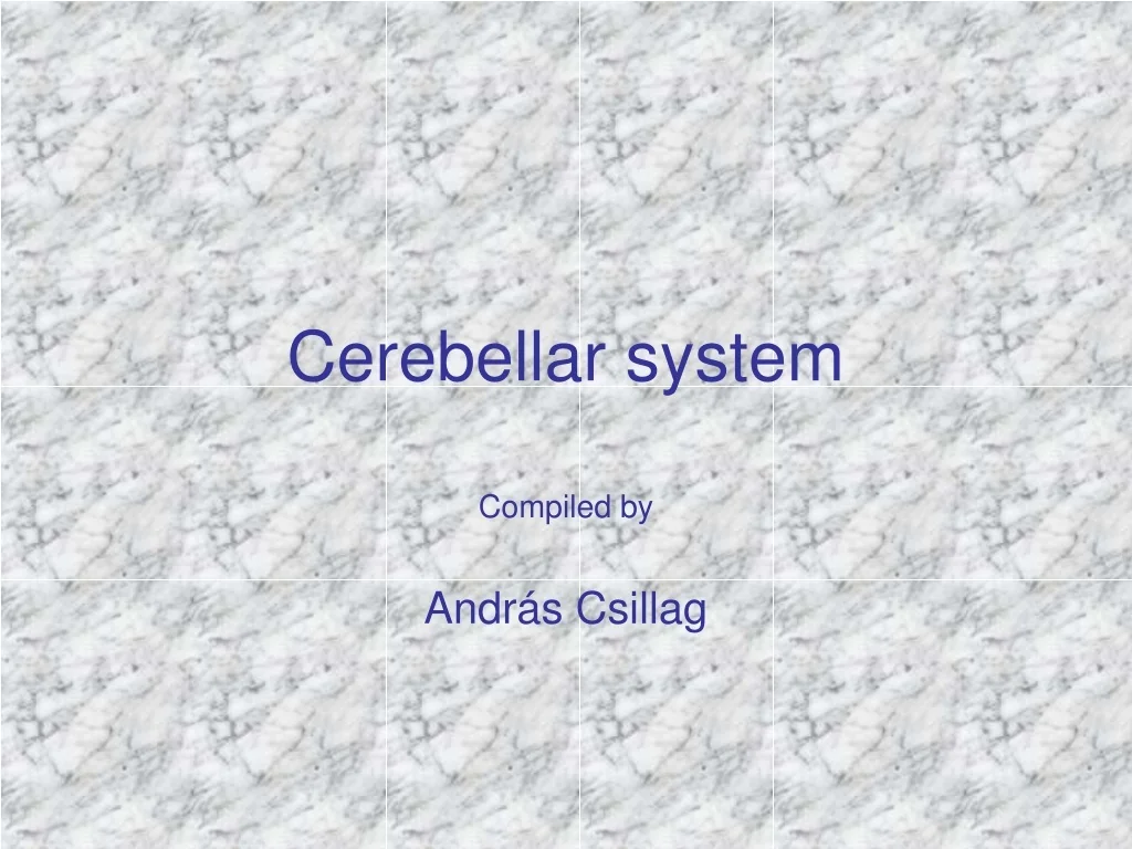 PPT - Cerebellar system PowerPoint Presentation, free download - ID:9457666