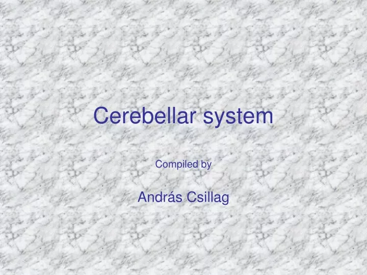 cerebellar system