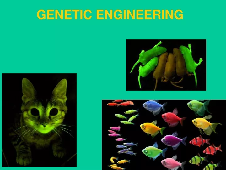 genetic engineering