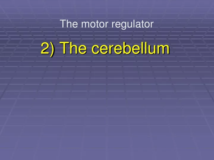 2 the cerebellum