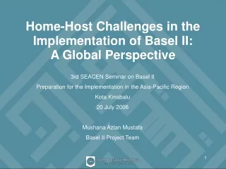 Home-Host Challenges in the Implementation of Basel II:  A Global Perspective