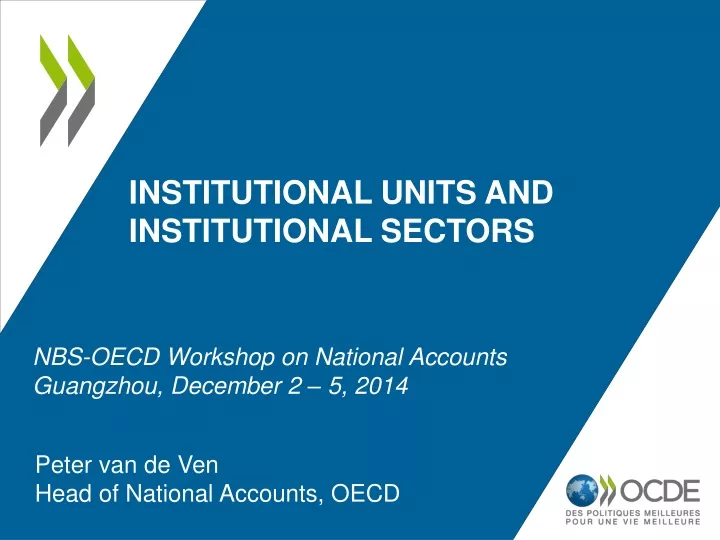institutional units and institutional sectors