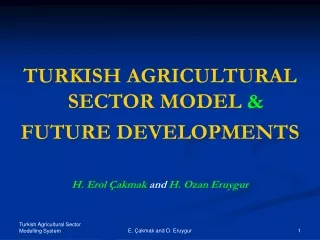 TURKISH AGRICULTURAL SECTOR MODEL  &amp;  FUTURE DEVELOPMENTS H. Erol Çakmak  and  H. Ozan Eruygur