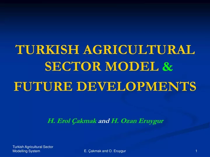 turkish agricultural sector model future