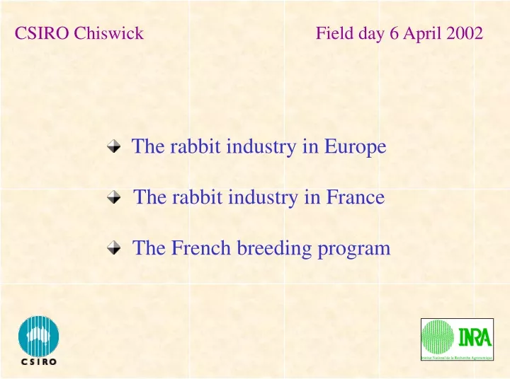the rabbit industry in europe