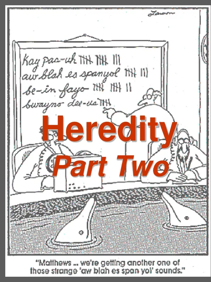 heredity part two