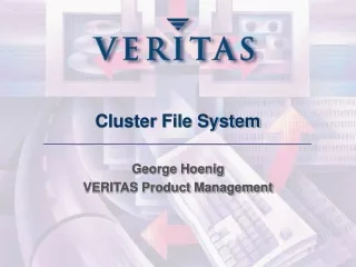 Cluster File System