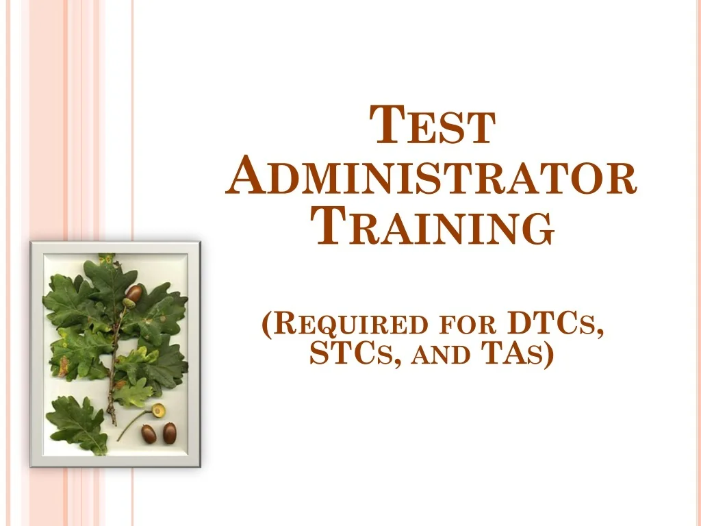 PPT - Comprehensive Test Administrator Training Program PowerPoint ...