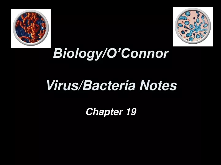 biology o connor virus bacteria notes