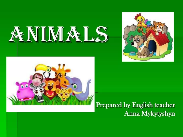 animals prepared by english teacher anna