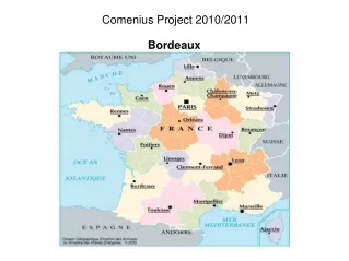 Comenius Project 2010/2011 Bordeaux