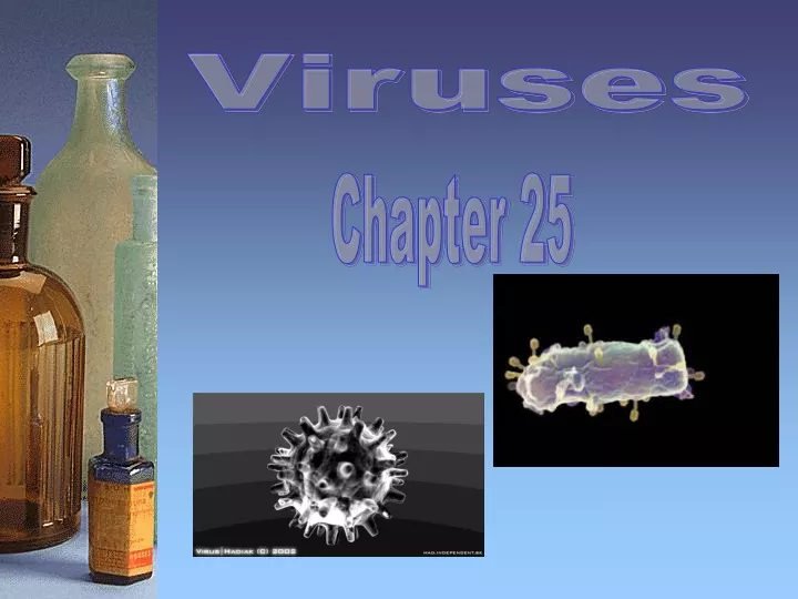 viruses