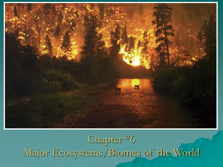 chapter 6 major ecosystems biomes of the world