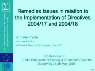 Remedies Issues in relation to the Implementation of Directives 2004/17 and 2004/18