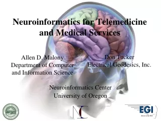 Neuroinformatics for Telemedicine and Medical Services