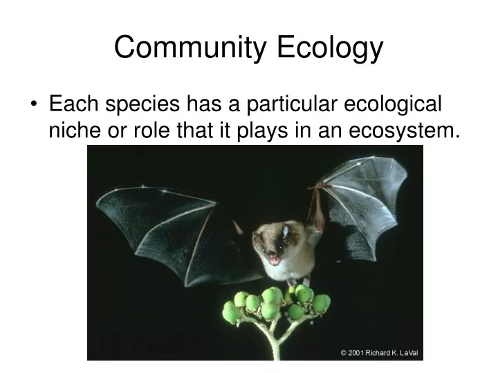 community ecology