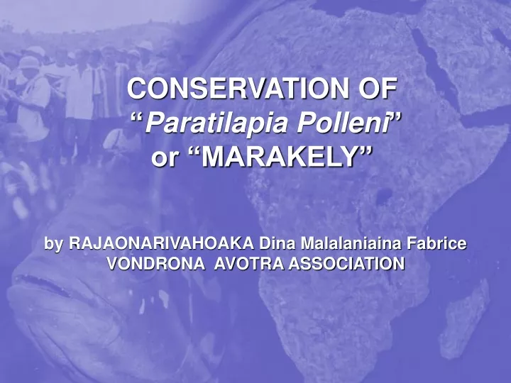 conservation of paratilapia polleni or marakely