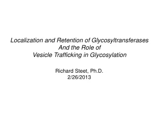 Localization and Retention of Glycosyltransferases And the Role of