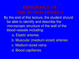 HISTOLOGY OF  THE BLOOD VESSELS