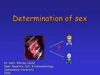 Determination of sex