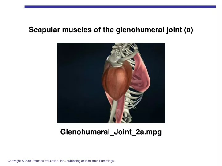 scapular muscles of the glenohumeral joint a