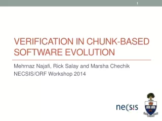VERIFICATION IN CHUNK-BASED SOFTWARE EVOLUTION