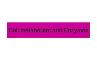 Cell metabolism and Enzymes