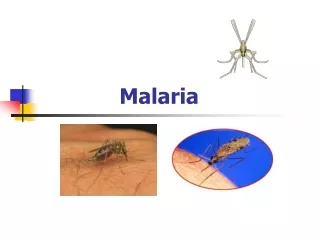 Malaria