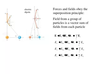 Forces and fields obey the superposition principle: