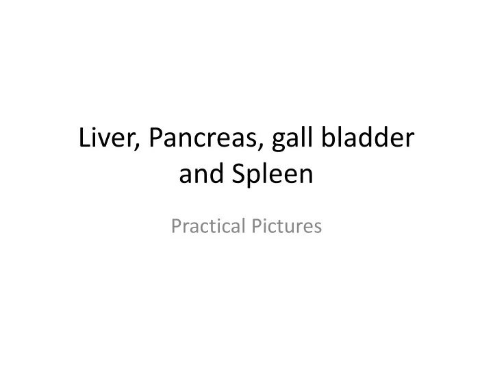 liver pancreas gall bladder and spleen
