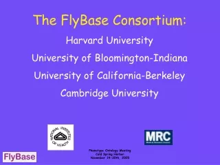The FlyBase Consortium: Harvard University University of Bloomington-Indiana