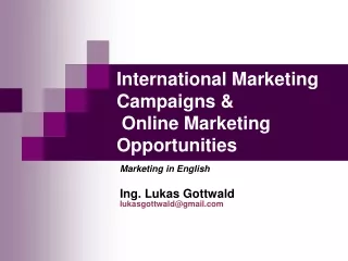 International Marketing Campaigns &amp;  Online Marketing Opportunities