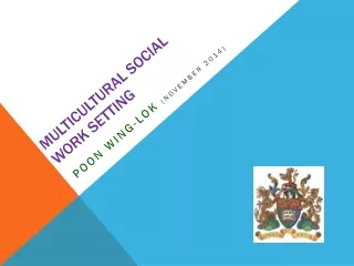 Multicultural social work setting