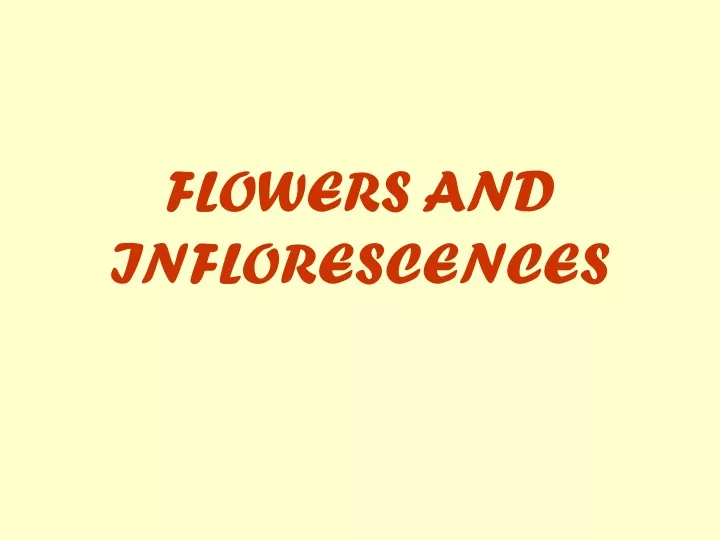 flowers and inflorescences