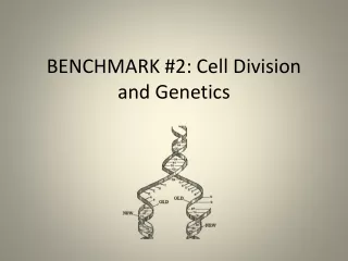 BENCHMARK #2: Cell Division and Genetics