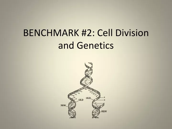 benchmark 2 cell division and genetics